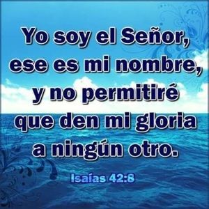 Meet your Posher, Vilma